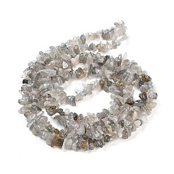 Natur Labradorit Perlen Stränge&nbsp;X-G-G0003-B43