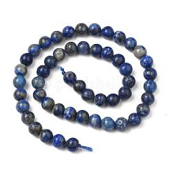 Natürliche Lapislazuli Perlenstränge&nbsp;X-G-G953-01-8mm