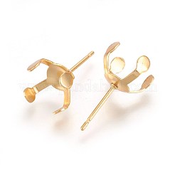 Componenti per orecchini a bottone in acciaio inossidabile 304&nbsp;X-STAS-L219-03C-G