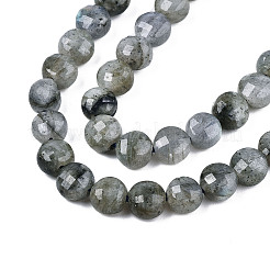 Perline labradorite naturale fili&nbsp;X-G-S354-24-A