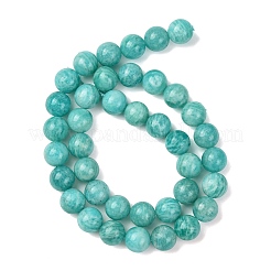 Fili di perline amazonite naturale&nbsp;G-G453-A02-10mm
