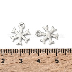 Aluminium Anhänger & Charms&nbsp;PALLOY-P317-10P