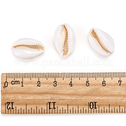 Perle di conchiglia di ciprea&nbsp;SHEL-S274-54