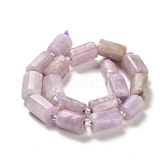 Naturperlen Stränge kunzite&nbsp;G-N327-06-36