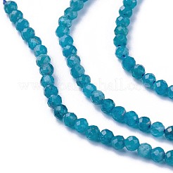 Chapelets de perles en apatite naturelle&nbsp;G-F619-13B-3mm