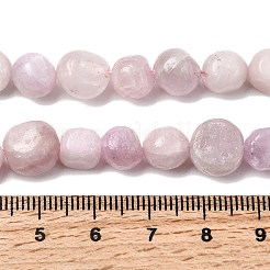 Naturperlen Stränge kunzite&nbsp;G-P601-A14-03