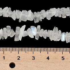 Natürliche Regenbogen Mondstein Chip Perlen Stränge&nbsp;G-C195-01
