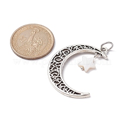 Legierung Mond Anhänger&nbsp;PALLOY-JF02290-02