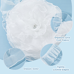 6 m Organza-Spitzenbesatzstoff&nbsp;SENE-HY0001-01A