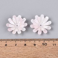 Capuchons de perles en acrylique thermorétractables&nbsp;OACR-N164-01B