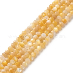 Brins de perles de coquillage jaune doré naturel, facette, ronde, 3mm, Trou: 0.5mm, Environ 144 pcs/chapelet, 15.55 pouce (39.5 cm)