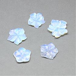 Perles d'opalite, fleur, 16~20x16~20x4~5mm, Trou: 1mm