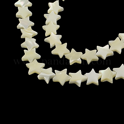 Нити бусин из натуральных морских раковин в форме звезды, 12~13x12~13x3~4 мм, отверстие : 1 мм, около 38 шт / нитка, 15.3 дюйм