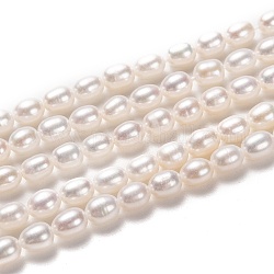 Fili di perle di perle d'acqua dolce coltivate naturali, riso, tinto, bisque, 5~7x4mm, Foro: 0.6 mm, circa 60pcs/filo, 14.17 pollice (36 cm)
