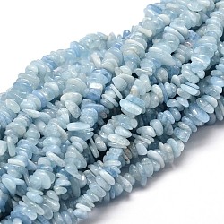 Natürliche Aquamarin Chip-Perlen Stränge, 5~14x4~10 mm, Bohrung: 1 mm, ungefähr 15.5 Zoll ~ 16.1 Zoll