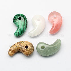 Mixed Style Tadpole Gemstone Pendants, Mixed Color, 30x18x10mm, Hole: 3.5mm