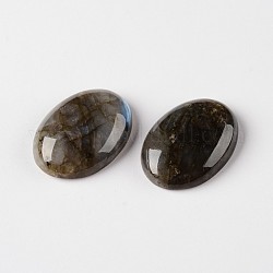 Labradorite naturelle pierres précieuses ovales cabochons, grade AB, 40x30x8mm