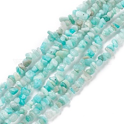 Puces naturels exotiques amazonite perles brins, 5~8mm, Trou: 0.3mm