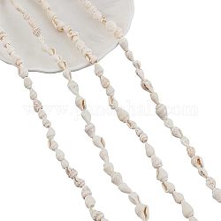 HOBBIESAY 3 strands Natural Trumpet Shell Beads Strands, White, 6~11x4~7mm, Hole: 0.5~1mm, about 160pcs/strand, 23 inch