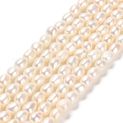 Hebras de perlas de agua dulce cultivadas naturales, dos lados pulidos, grado 7 un, lino, 3~3.5x4~4.5mm, agujero: 0.5 mm, aproximamente 67 pcs / cadena, 13.98''~14.17'' (35.5~36 cm)