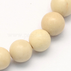 Perles rondes fossiles naturel brins, 6.5mm, Trou: 1mm, Environ 63 pcs/chapelet, 15.5 pouce