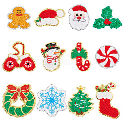 12Pcs 12 Style Christmas Theme Towel Embroidery Cloth Iron on/Sew on Patches, Costume Accessories, Appliques, Mixed Color, 46.5~102x53~89x2.5~3mm, 1pc/style