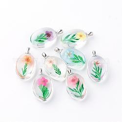 Pendentifs en verre, avec fleurs séchées à l'intérieur, ovale, platine, couleur mixte, 31x18x10~11mm, Trou: 5x2mm
