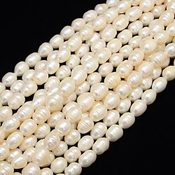 Brins de perles de culture d'eau douce naturelles de grade b, Avec filetage, riz, blanc crème, 9~10mm, Trou: 0.8mm, Environ 34 pcs/chapelet, 13.77 pouce ~ 14.17 pouces