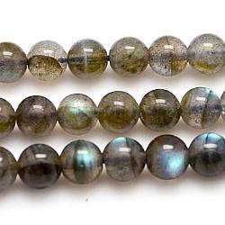 Chapelets de perles en labradorite naturelle , AA grade, ronde, 10mm, Trou: 1mm, Environ 39 pcs/chapelet, 15.75 pouce