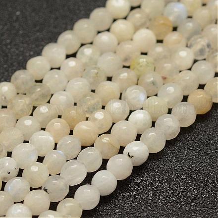 Natürlichen weißen Mondstein Perlen Stränge G-G682-22-4mm-1