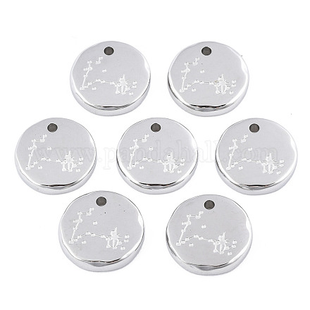 316 Surgical Stainless Steel Charms STAS-S116-418L-P-1