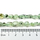 Chapelets de perles en préhnite naturelle G-Z034-D09-01-5