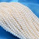 Redondo shell hebras de abalorios de perlas BSHE-L011-3mm-A013