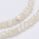 Chapelets de perles de coquillage naturel G-E354-03-4