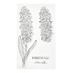 シリコンクリアスタンプ  カード作りの装飾DIYスクラップブッキング用  花柄  19.5x11.5x0.3cm DIY-A013-13-2