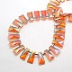 Faceted Electroplate Crystal Glass Trapezoid Beads Strands EGLA-F072B-02-2