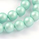 Round Shell Pearl Bead Strands BSHE-J011-10mm-A01-1