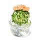 Cactus in vaso con simulazione di resina trasparente DJEW-F019-02C-1