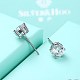 Exquisite 925 Sterling Silver Cubic Zirconia Stud Earrings EJEW-BB20135-6