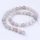 Natural Agate Beads Strands G-Q462-10mm-43-2