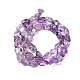 Natürlichen Amethyst Perlen Stränge&nbsp;G-P568-C04-01-3