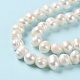 Natural Cultured Freshwater Pearl Beads Strands PEAR-E018-53-4