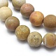 Natural Fossil Coral Beads Strands G-I254-01A-3