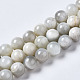 Natürlichen weißen Mondstein Perlen Stränge G-N328-51C-01-1