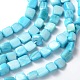 Natural Shell Beads Strands X-PBB075Y-1