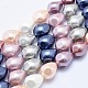Electroplate Shell Pearl Beads Strands BSHE-G006-10-2