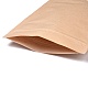 Eco-friendly Biodegradable Kraft Paper Zip Lock bag CARB-P009-01B-5