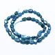 Natural Apatite Beads Strands X-G-E483-41A-2