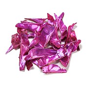 Большие подвески из натуральной ракушки акоя BSHE-G034-09B
