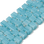 Бусины лэмпворк ручной работы LAMP-B022-01A
